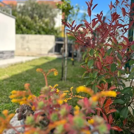 Apartment Adrian Kastela